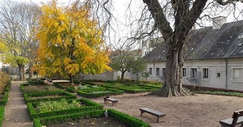 Jardins de la Citadelle - Kukoistava luonnon kauneus ja historiallinen symboli Joux-la-Ville!