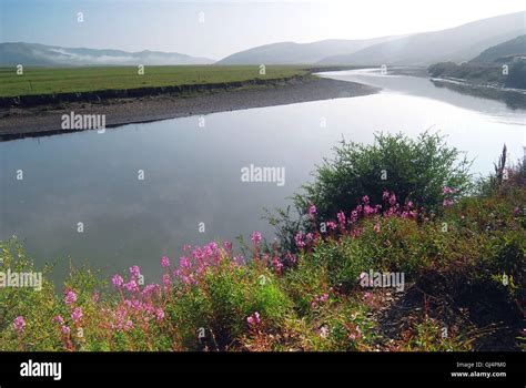  Zhoucun Yellow River Wetlands – Kiinan villi luonto ja lintuparatiisi yhdistyvät!